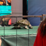 2024 Wide World of Animals