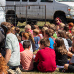 2024 Wide World of Animals