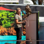 2024 Wide World of Animals