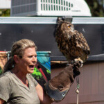 2024 Wide World of Animals