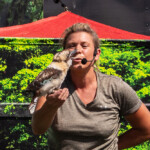 2024 Wide World of Animals