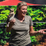 2024 Wide World of Animals