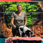 2024 Wide World of Animals