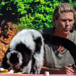 2024 Wide World of Animals