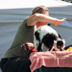 2024 Wide World of Animals