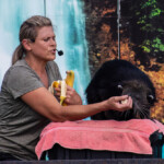 2024 Wide World of Animals