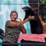 2024 Wide World of Animals