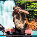 2024 Wide World of Animals