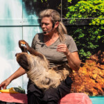 2024 Wide World of Animals