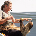 2024 Wide World of Animals