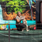 2024 Wide World of Animals