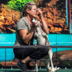 2024 Wide World of Animals