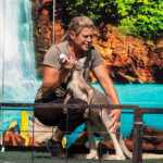 2024 Wide World of Animals